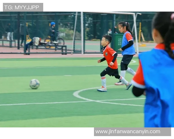 追梦绿茵场巴西球星的热血成长与足球小将的传奇征途