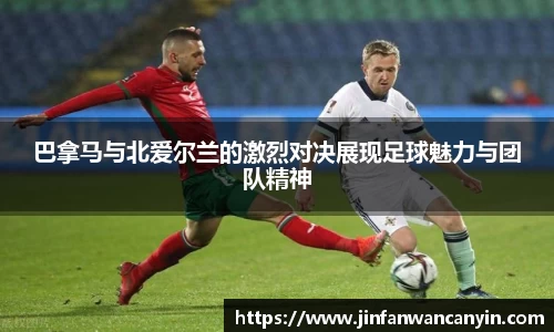 熊猫直播